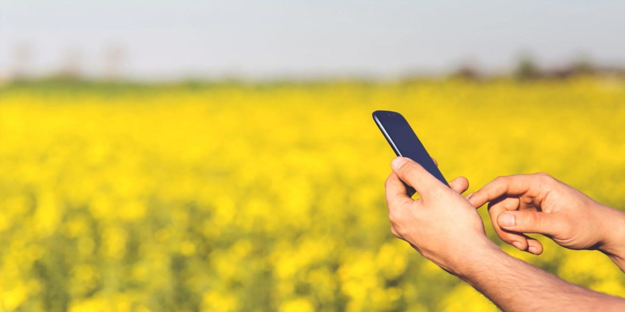 Récapitulatif des logiciels utilisés dans l’industrie agroalimentaire