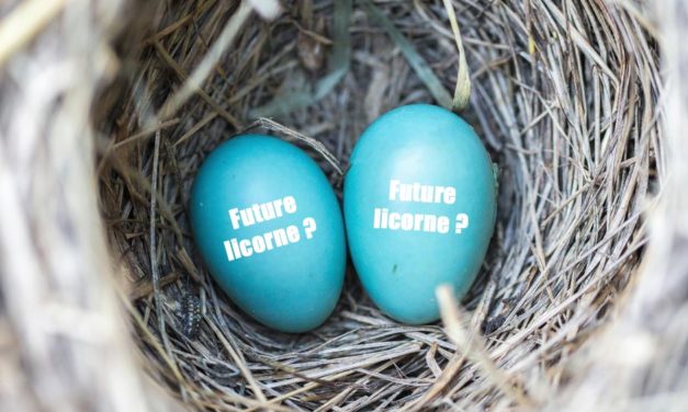 Le rôle des incubateurs et des aides pour les freelances tech