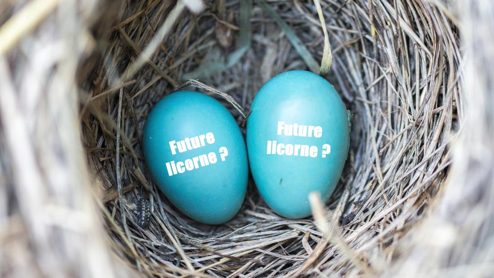 Le rôle des incubateurs et des aides pour les freelances tech